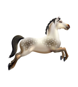 Smart Horse Cycle
